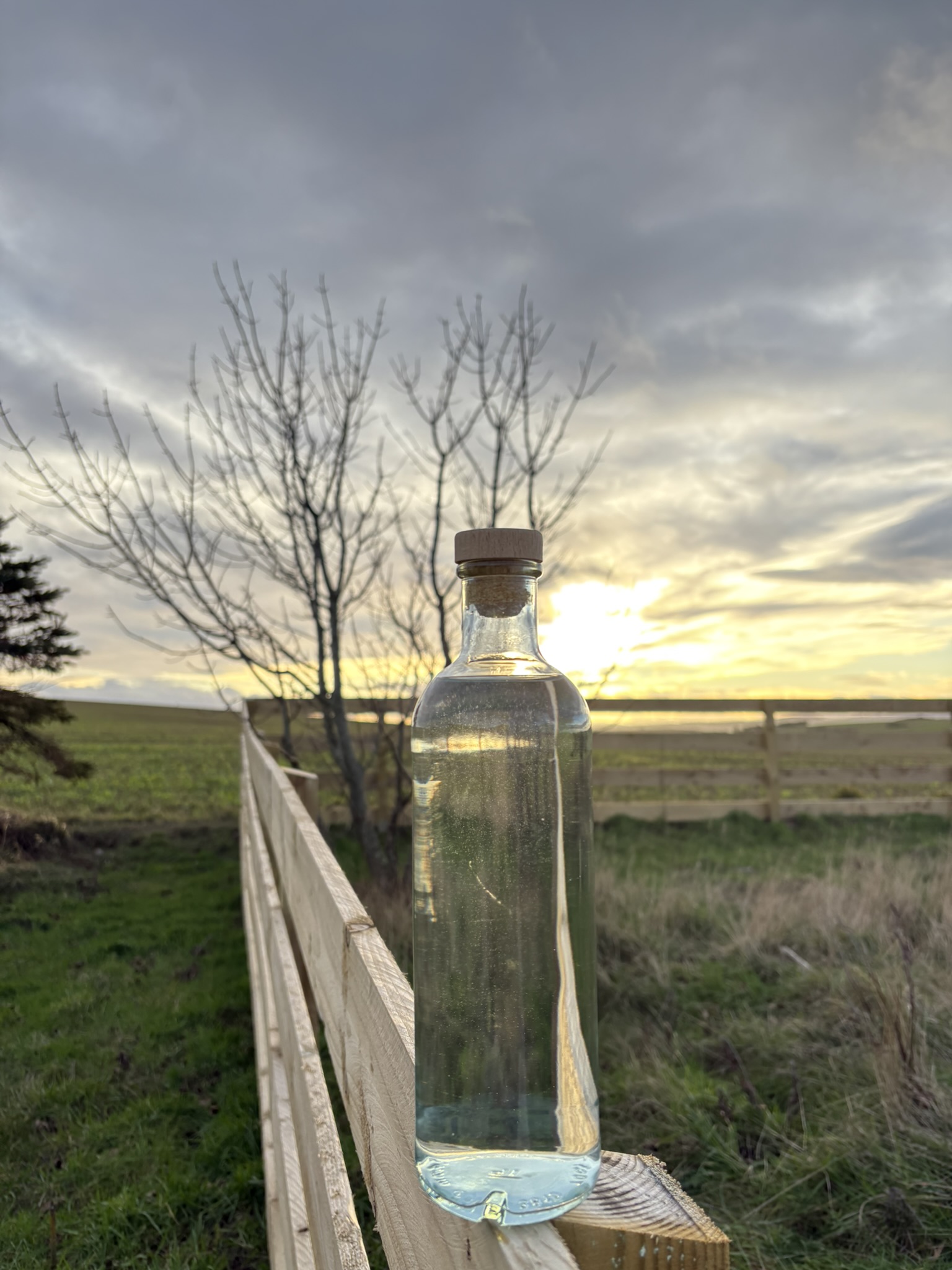 recycled glass bottle